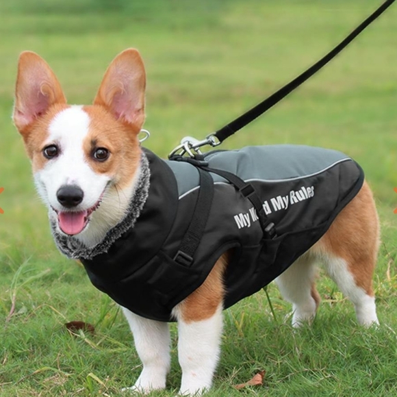 BNWOT dog  Harness winter jacket - Picture 3 of 12